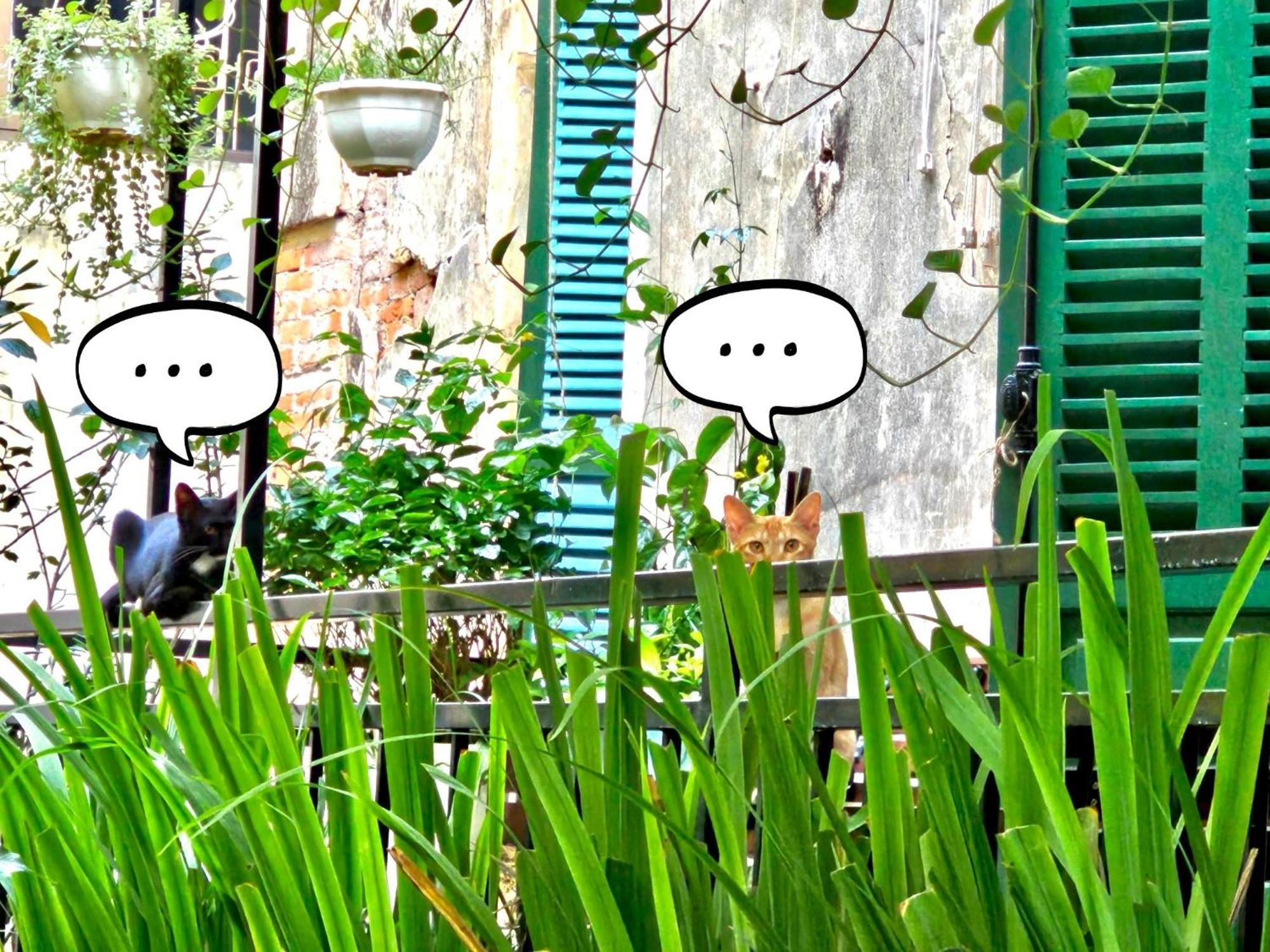 Azalea Apartment Hanoi Esterno foto