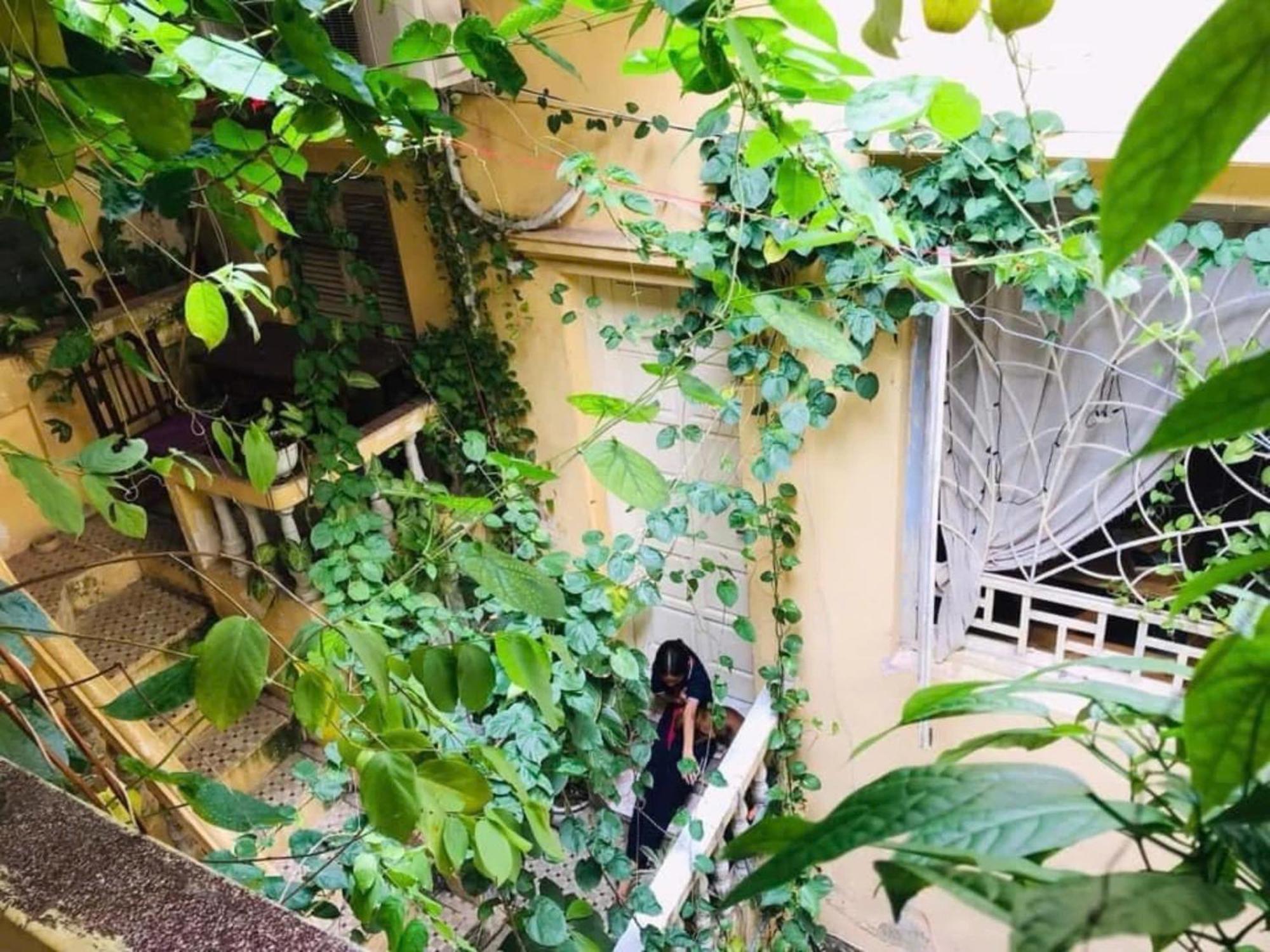 Azalea Apartment Hanoi Esterno foto